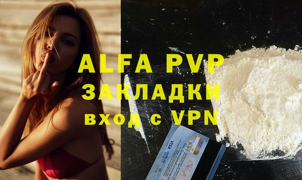 индика Россошь
