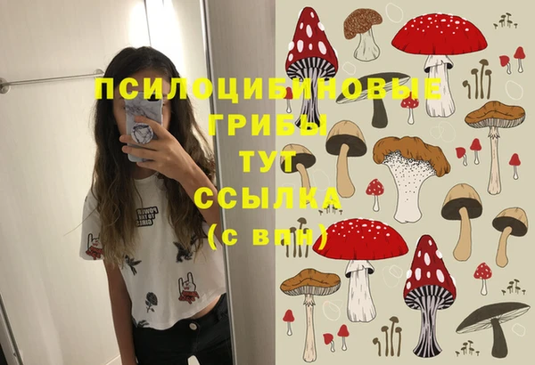 индика Россошь